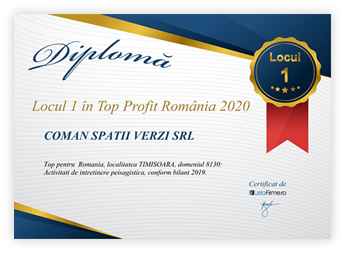 Imagine diploma 1