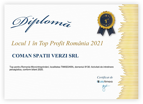 Imagine diploma 4